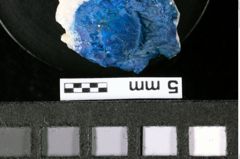 Foto (Detailansicht) von Prosopon verrucosum (Reuss, 1858) (NHMW-GEO-1990-0041-0033)